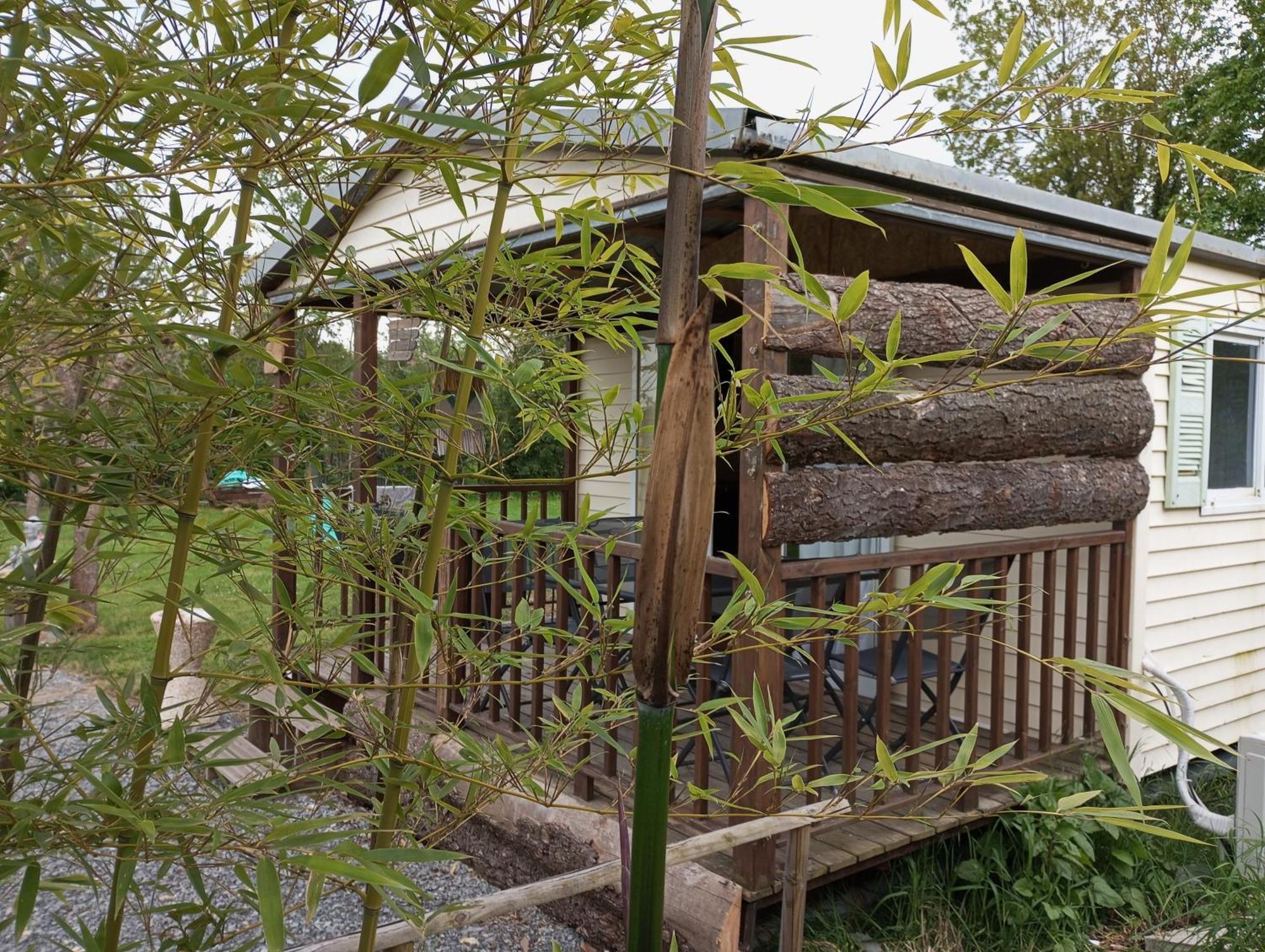 Cabanon Grenouille #park Le Pal Ferienhaus Saint-Martin-des-Lais